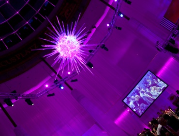 "Licht ins Dunkel"-Gala in der Plus City Pasching